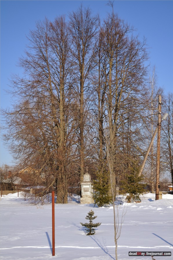 усадьба Федино