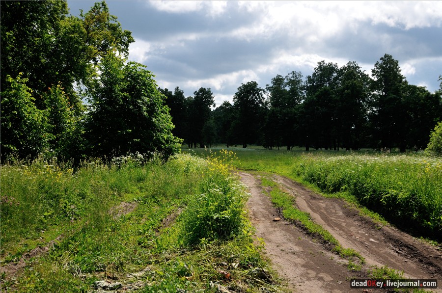 усадьба Петровское (Большепетровское)