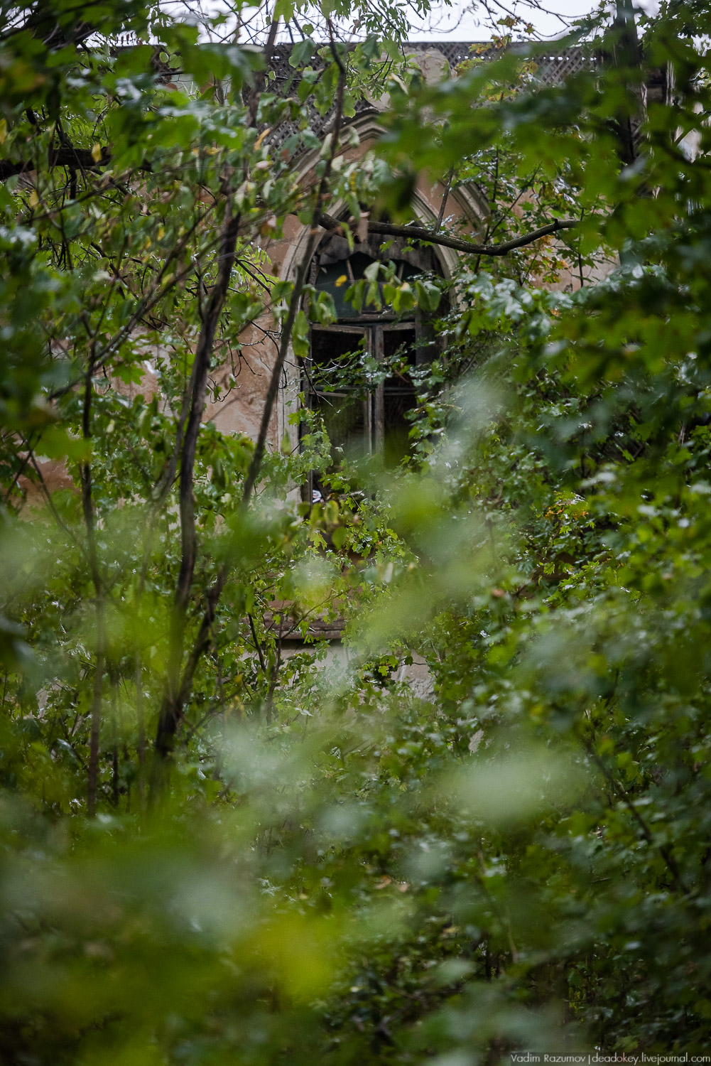 Липецкая область, усадьбы, инвестблогтур 