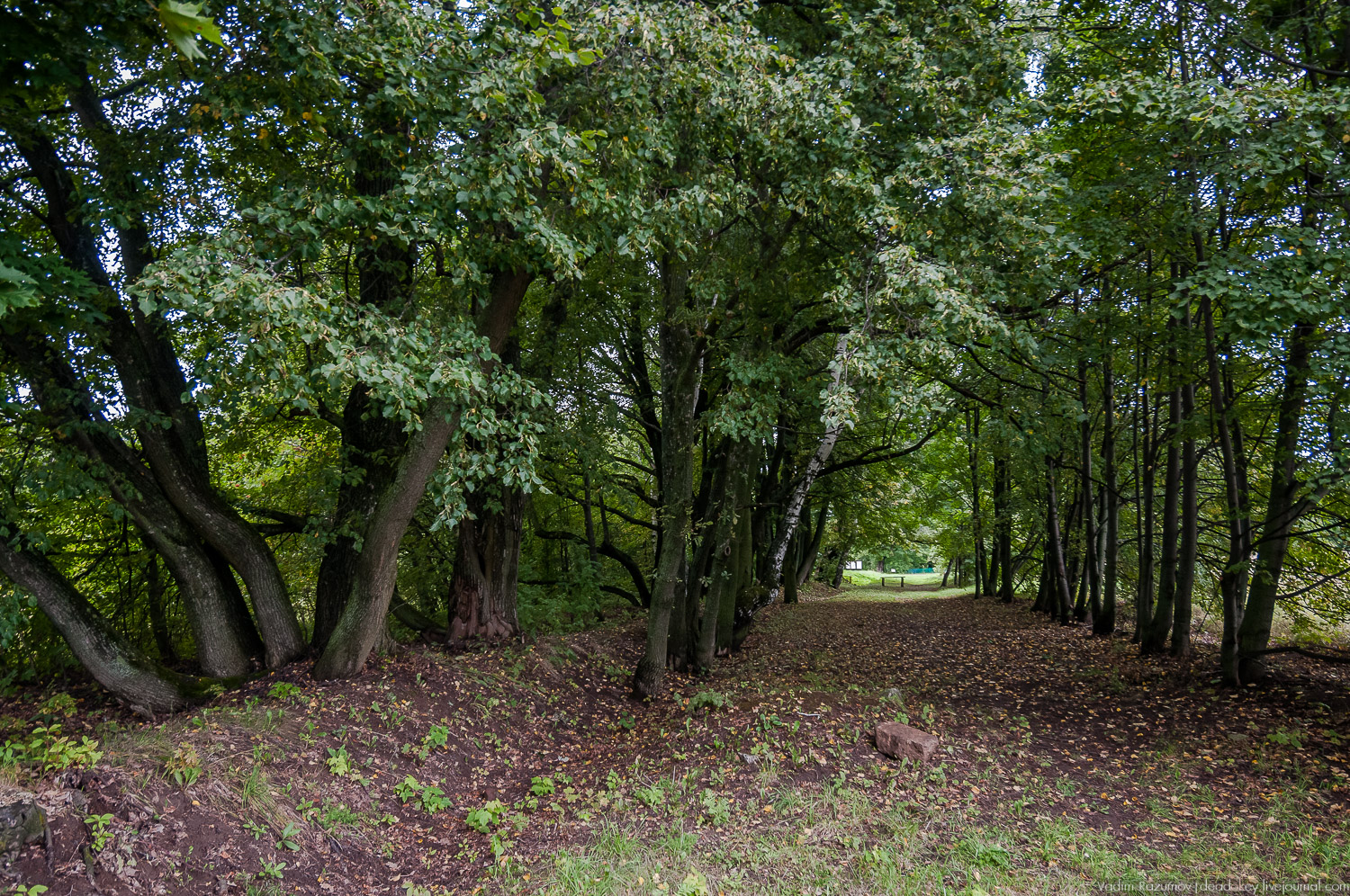 усадьба Даровое, Зарайский район, Ф.М. Достоевский