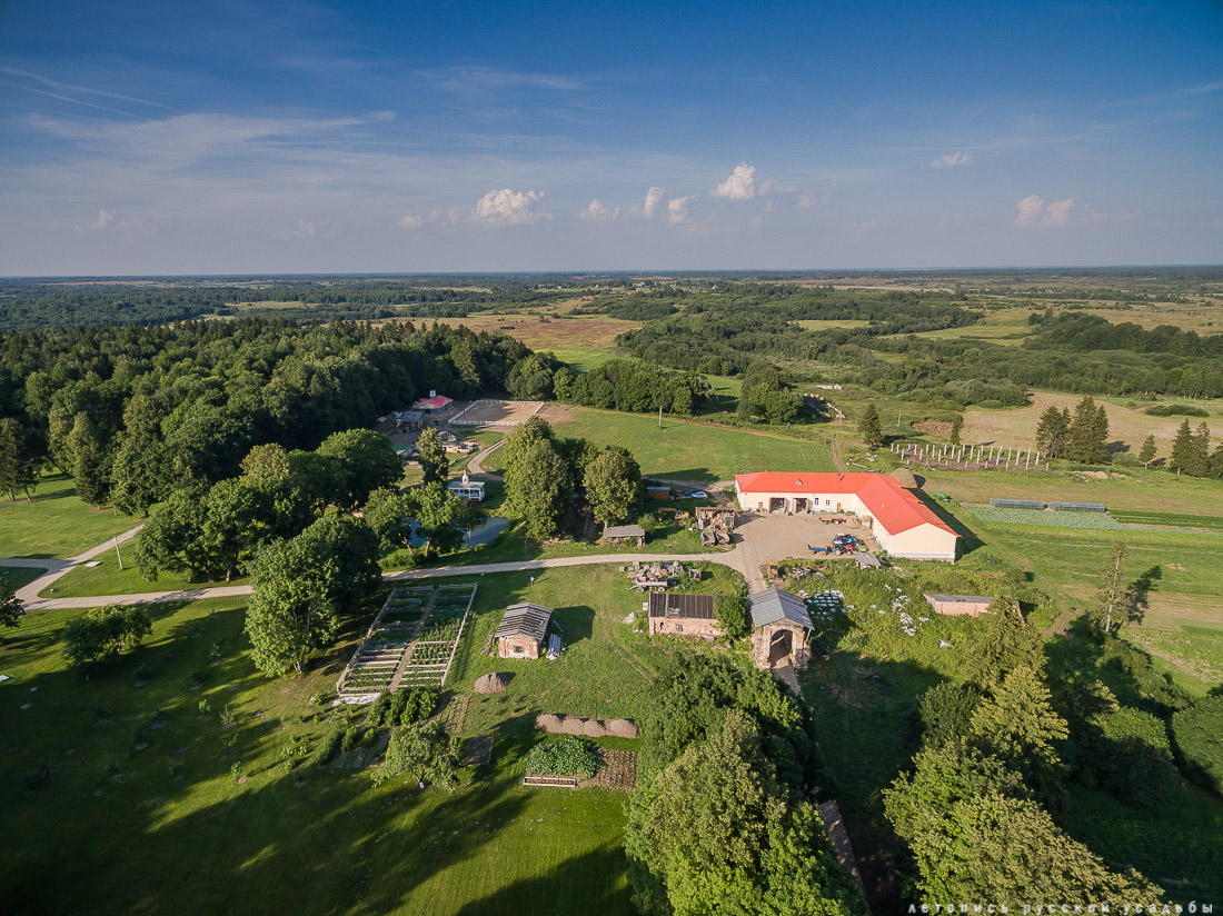усадьба Степановское-Волосово, фотографии с дрона, шетлендский пони Трамп