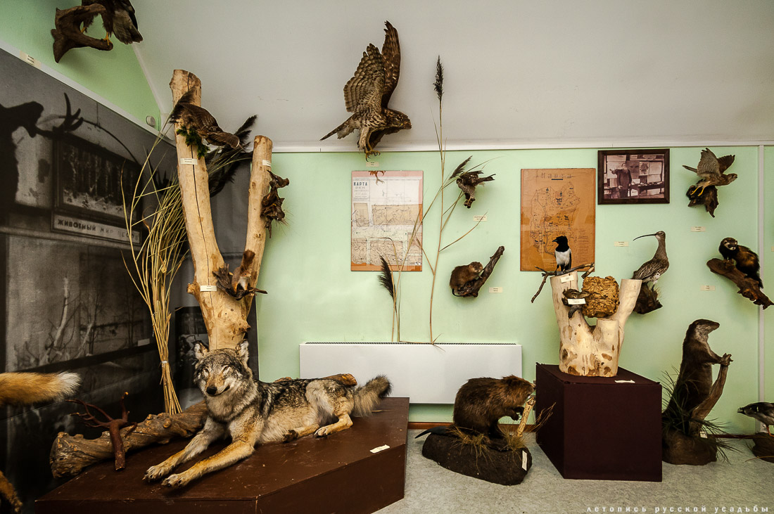 Дом Кропоткина, Дмитров, музей