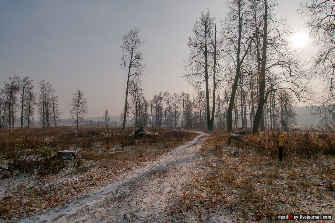 Усадьба Глебово-Брусилово