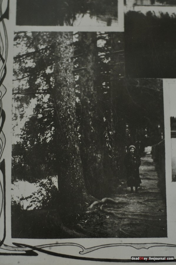 усадьба Косино