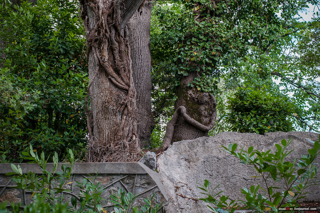 усадьба дворец Дюльбер великого князя Петра Николаевича