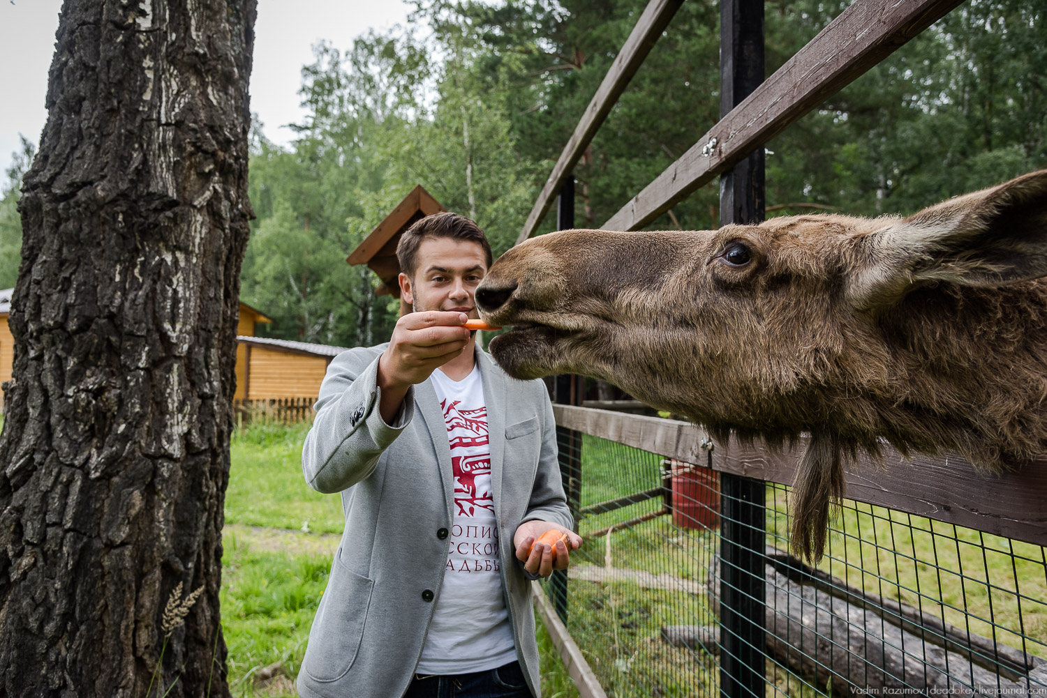 Лосиный остров