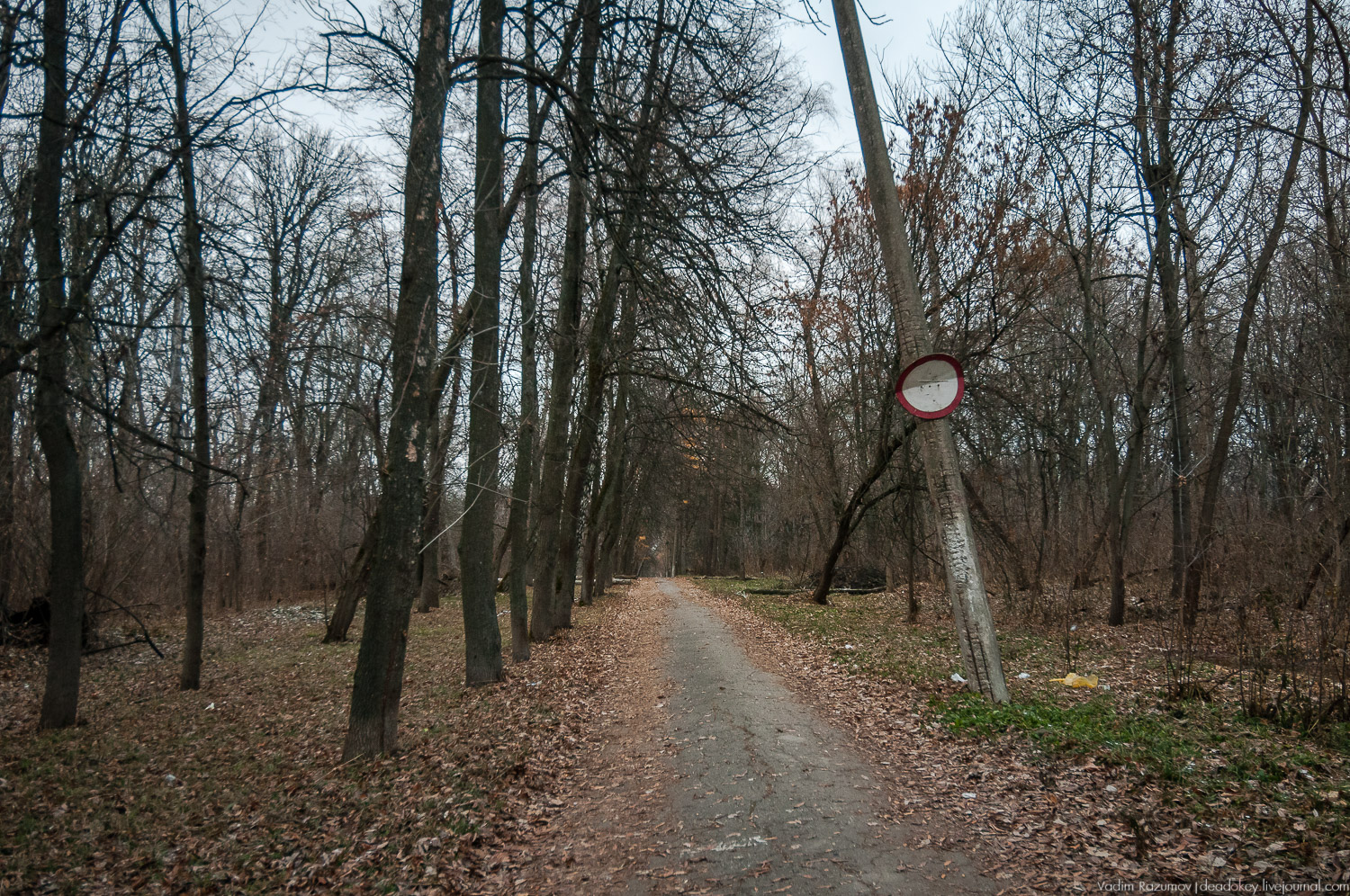усадьба Бобрики Бобринских, Донской, Тульская область, музей