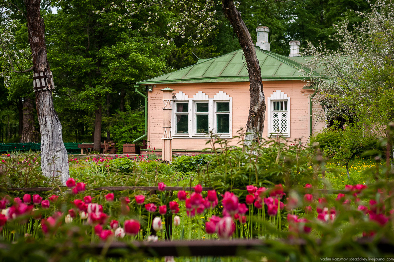 Летопись русской усадьбы. Усадьбы 2017 года