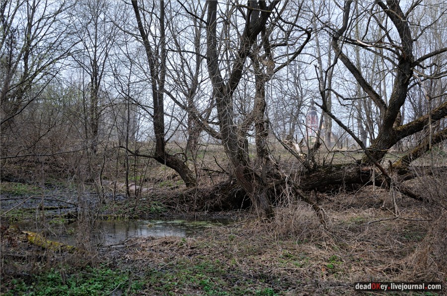 усадьба Грабцево
