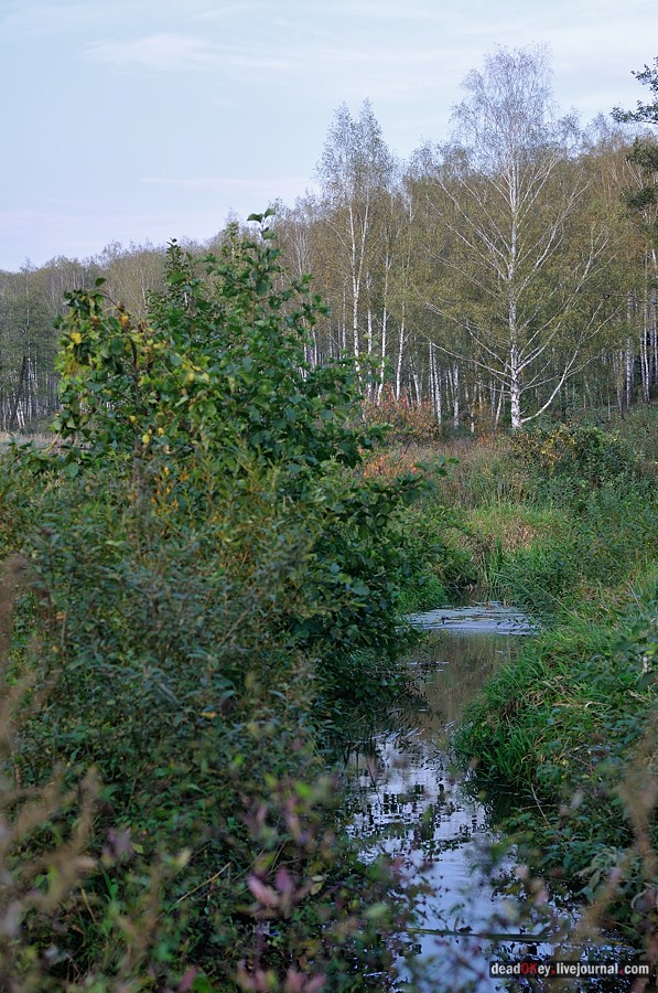 усадьба Ясная Поляна