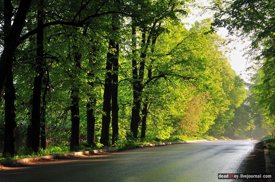 усадьба Прохорово