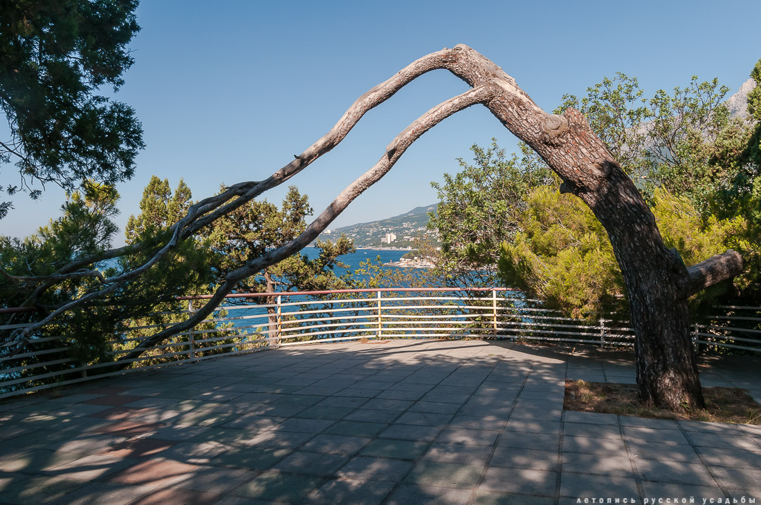 Харакс, Крым, санаторий Днепр