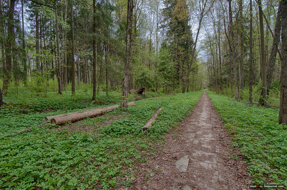 усадьба Михайловское