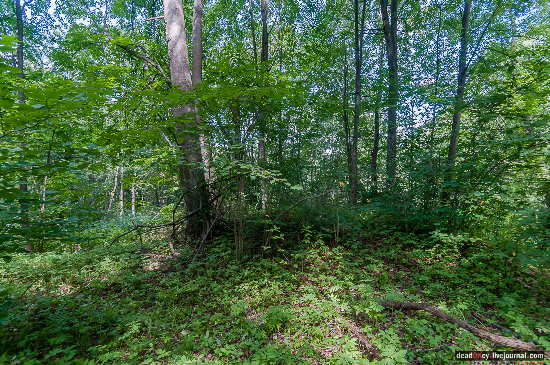 усадьба Васильевское Повалишиных