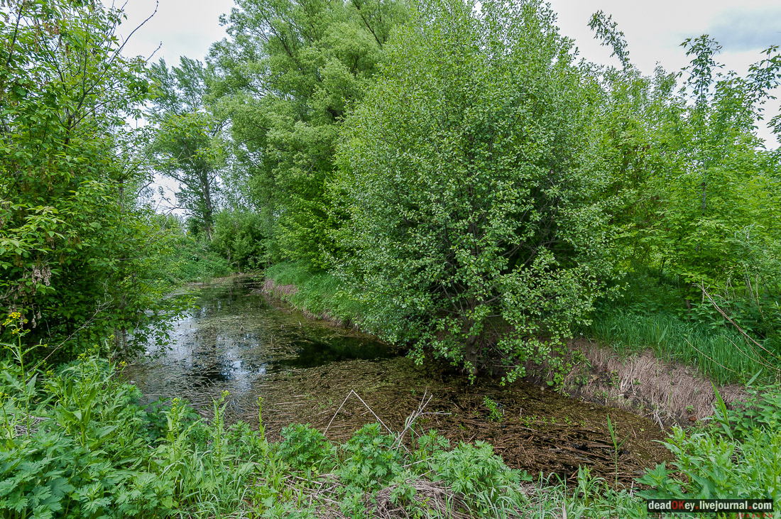 усадьба Коленцы