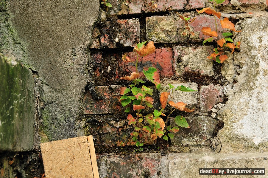 усадьба Гребнево