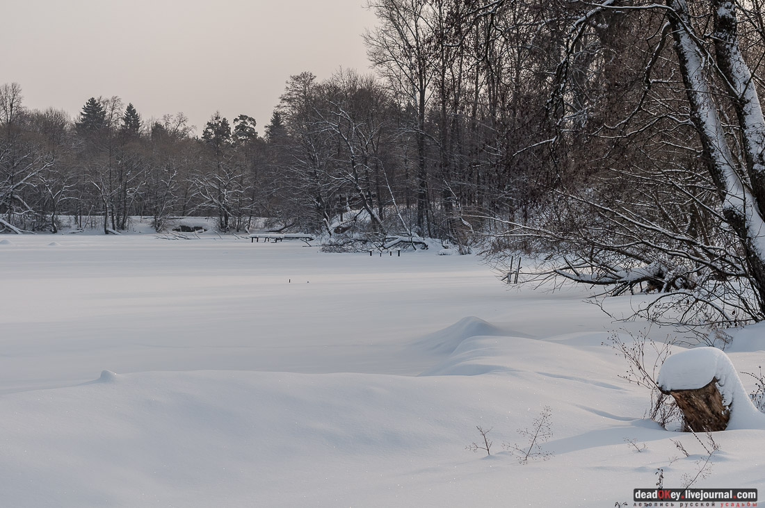 усадьба Васильевское-Скурыгино