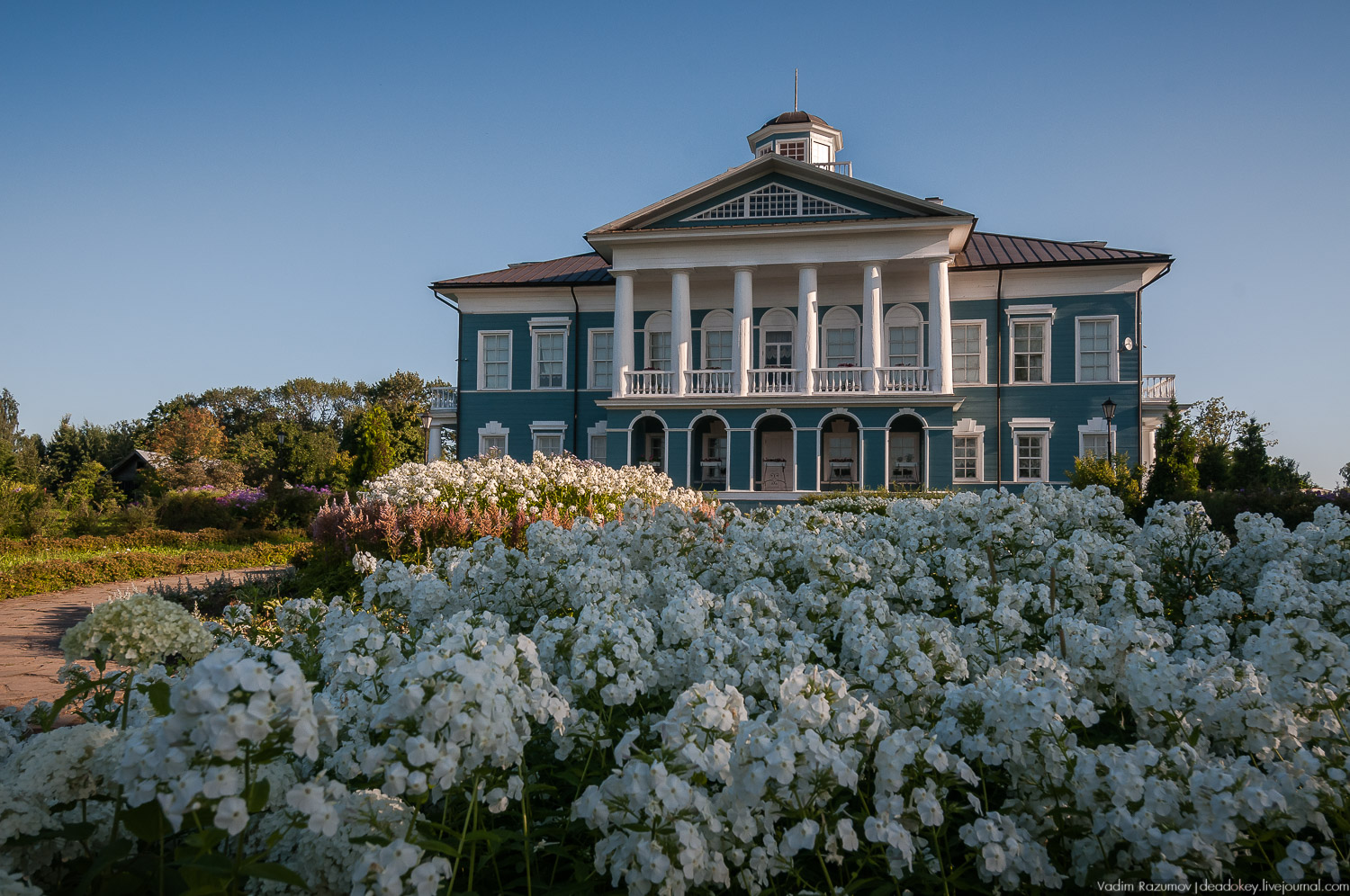 Цветы в усадьбах, поздравление с 8 марта