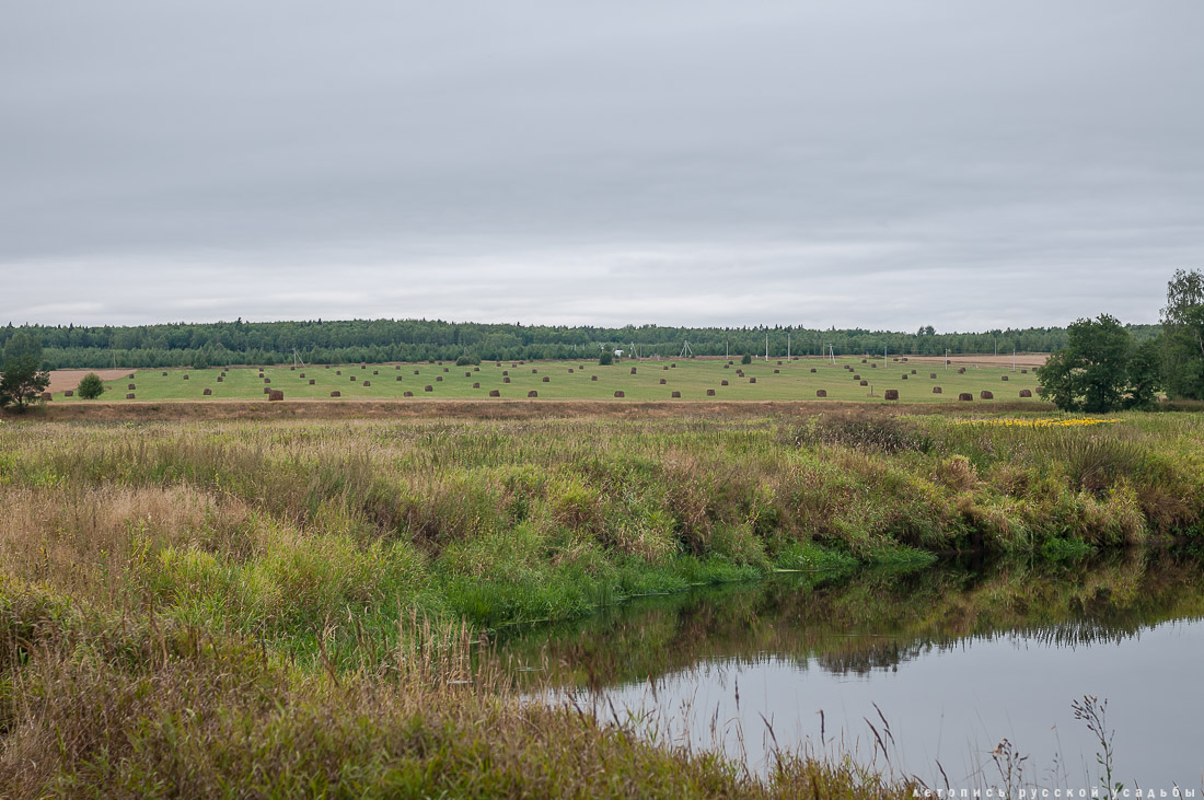 Меховицы, дом фабриканта Карпова, Чистые Росы, продается усадьба