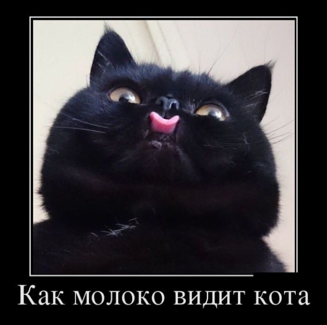 Демотиваторы №1007 (30 фото)