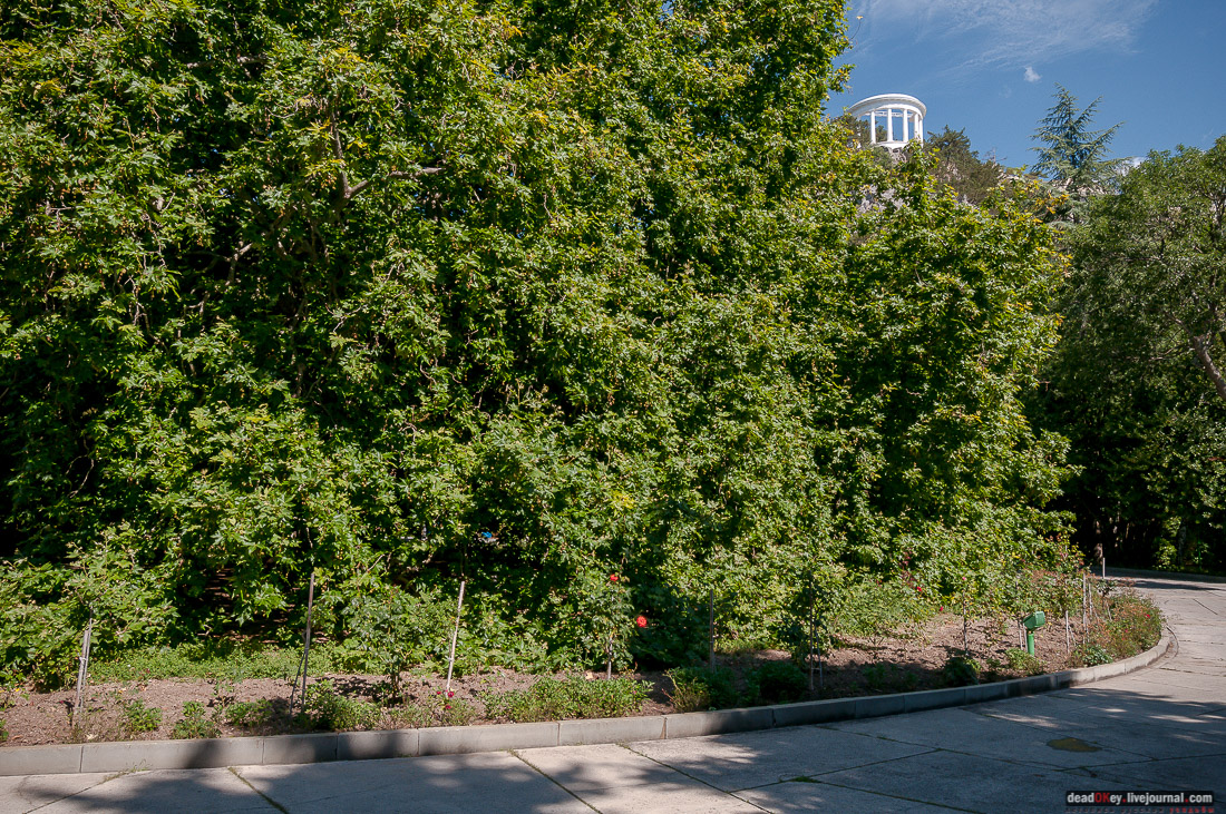 усадьба Ореанда (Нижняя Ореанда, Крым)