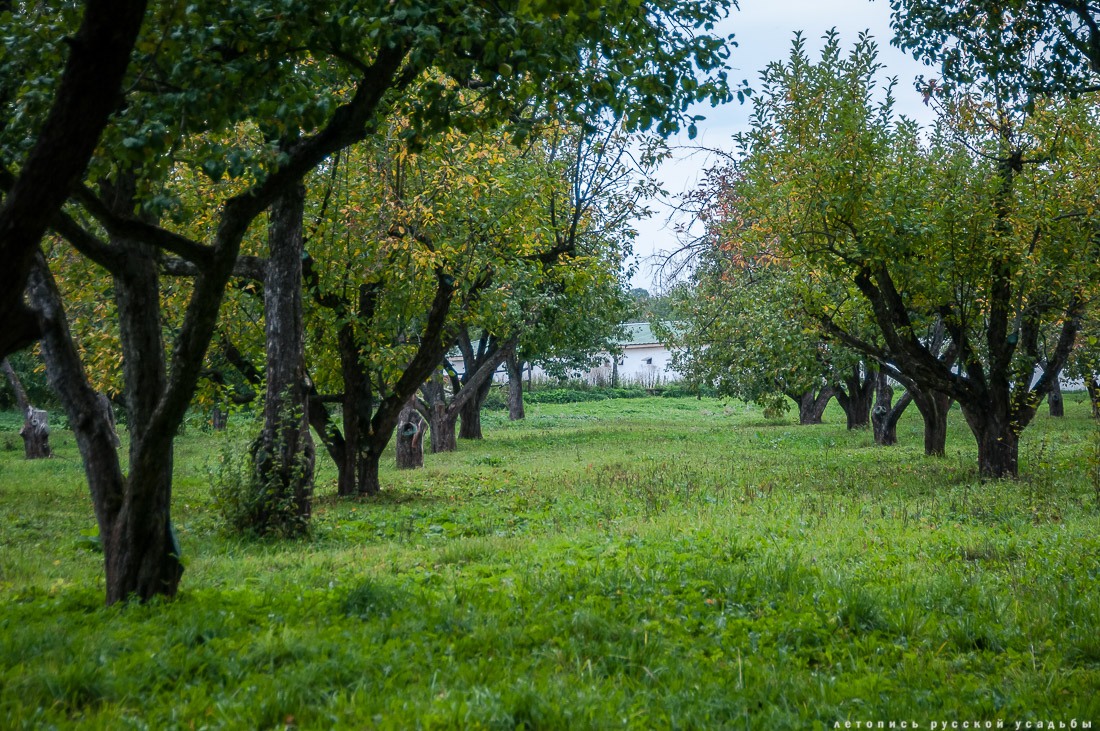Усадебный экспресс. Ясная Поляна.