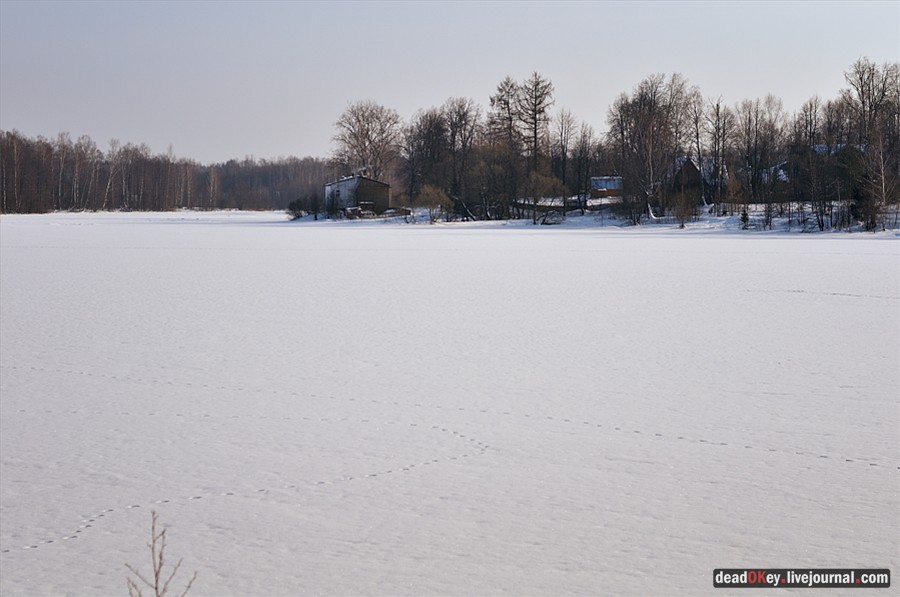 усадьба Костино Сабашниковых