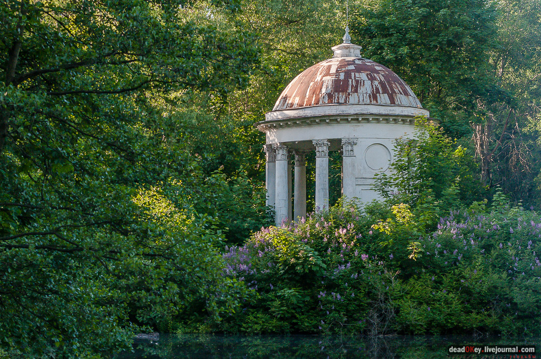 усадьба Быково, пресс-релиз встречи волонтеров