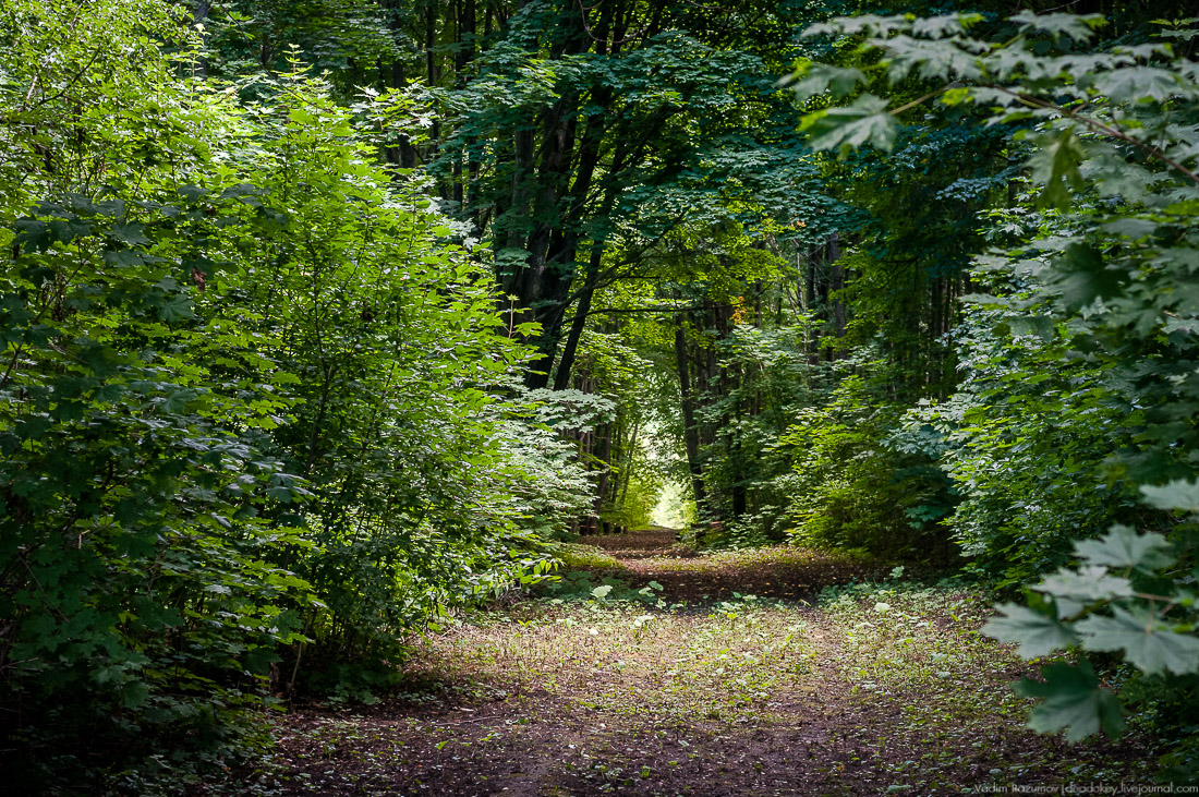 усадьба Кропотово-Лермонтово