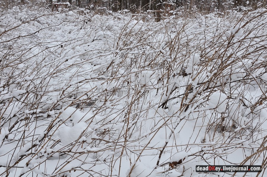усадьба Лукино-Варино
