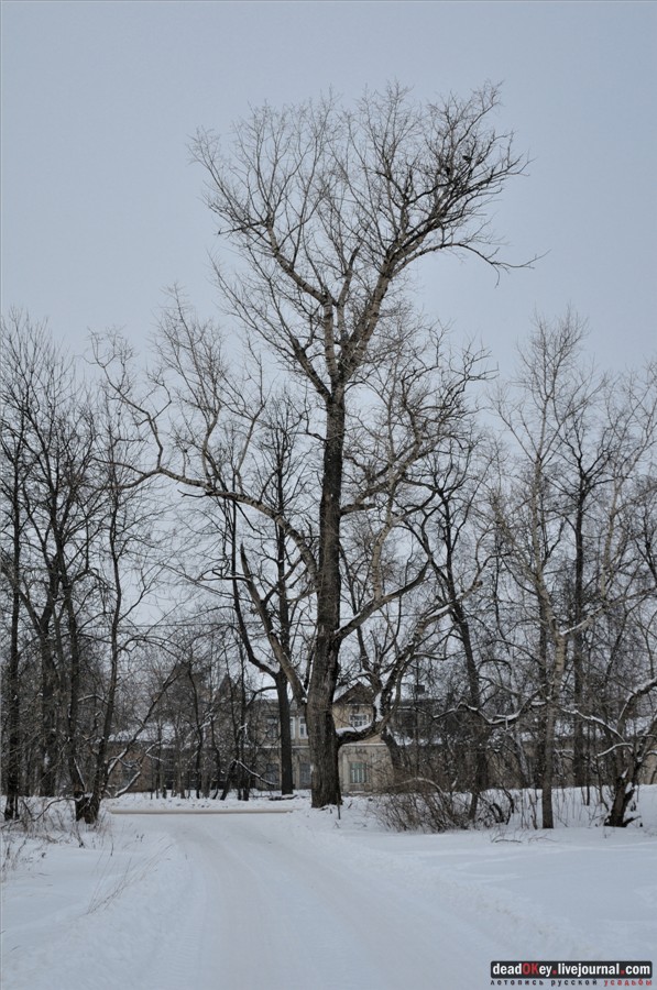 усадьба Городищи (
