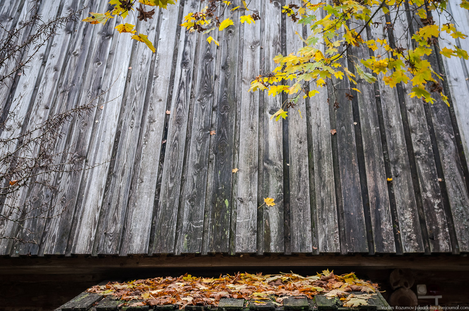 усадьба Шахматово А.А. Блока, Солнечногорский район