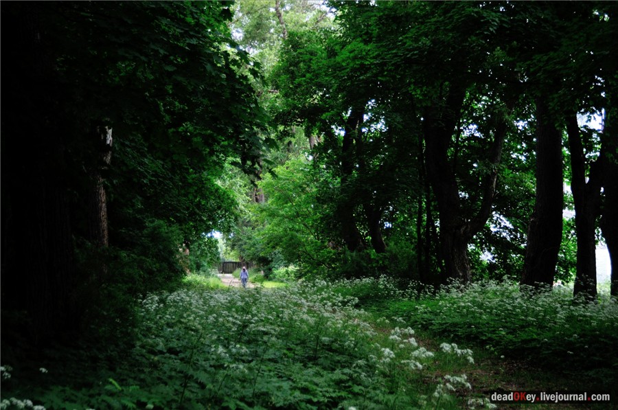 усадьба Хмелево