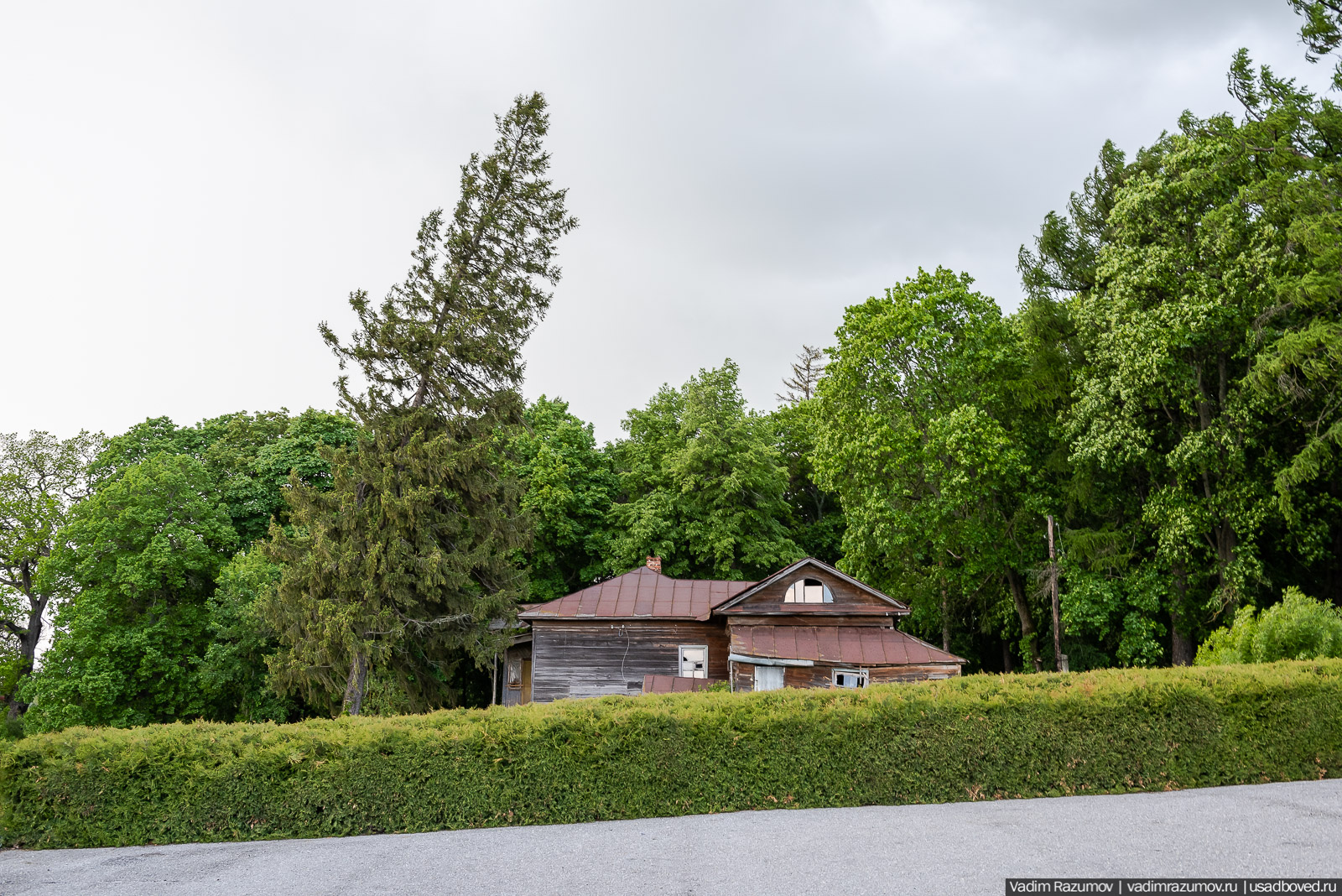 Мещерский дендрарий, ЛОСС, усадьба Барсуково, цветение сирени, Липецкая области