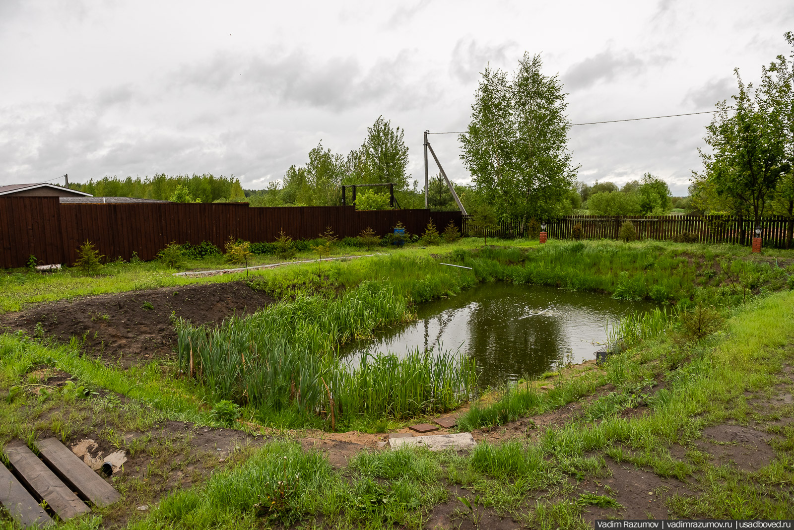 Усадьба фабриканта Думнова в Заречье, Владимирская область. Цветение сирени, сады