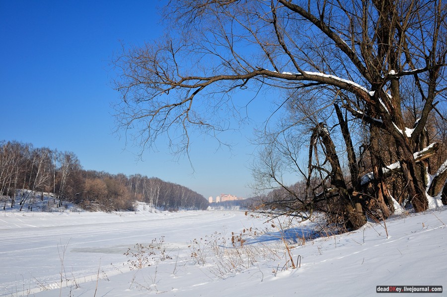 усадьба Старбеево