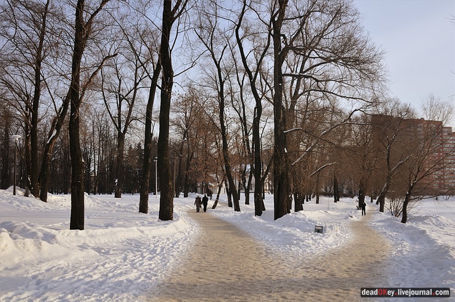 усадьба Белая Дача