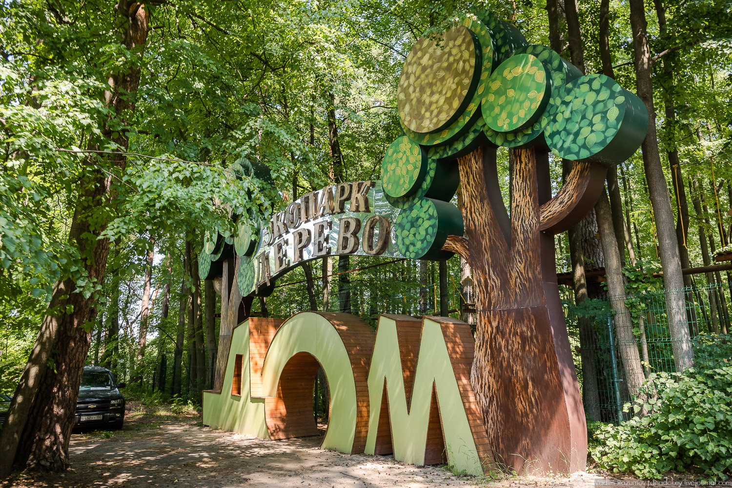 Экоэлектричка. Волонтерский поезд к зубрам в Приокский террасный заповедник