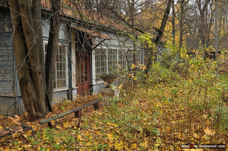 усадьба Жуково