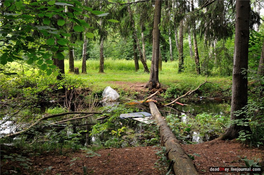 усадьба Алмазово