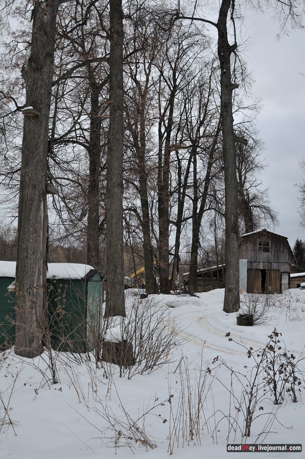 усадьба Воскресенки