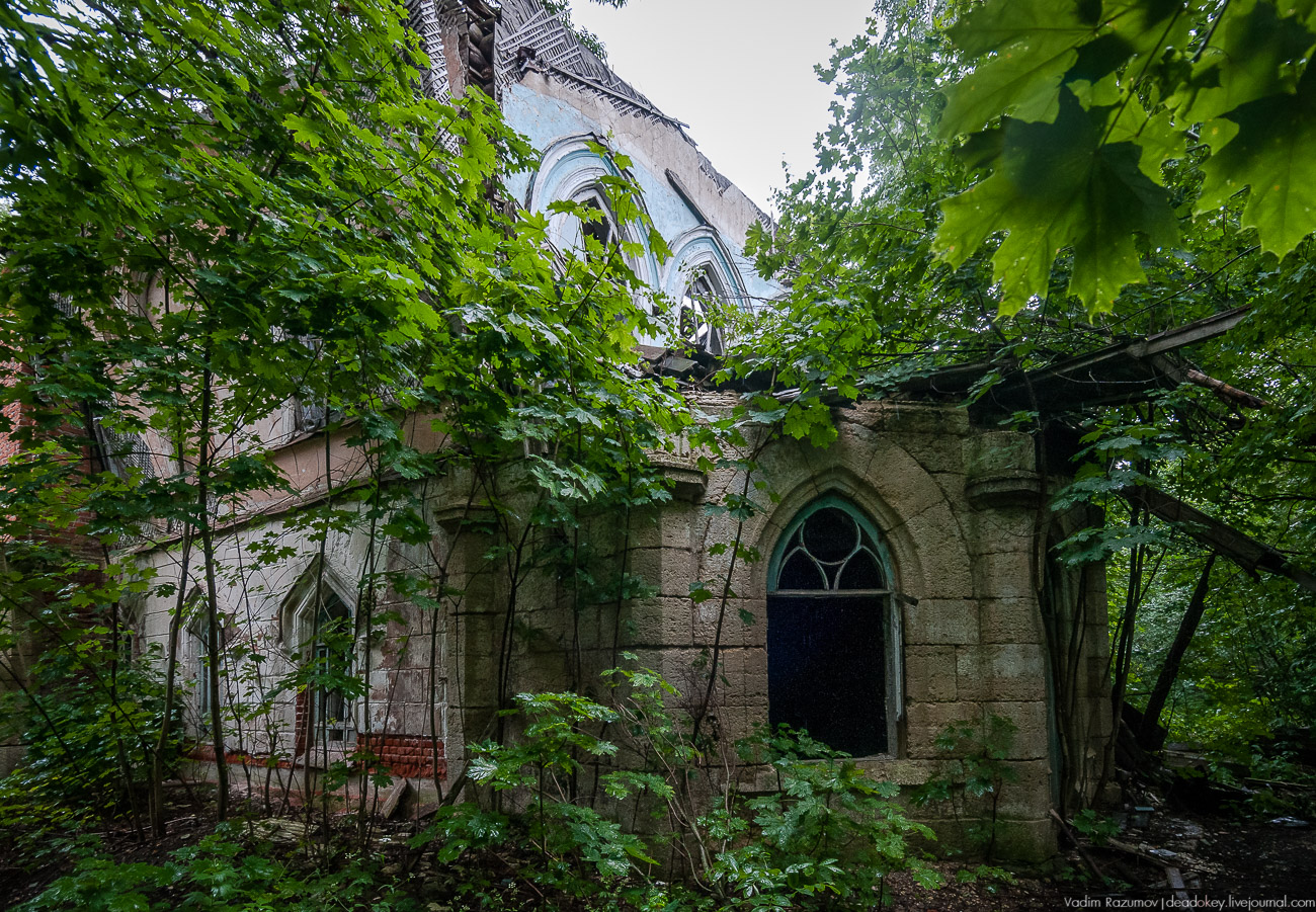 Летопись русской усадьбы. Усадьбы 2017 года