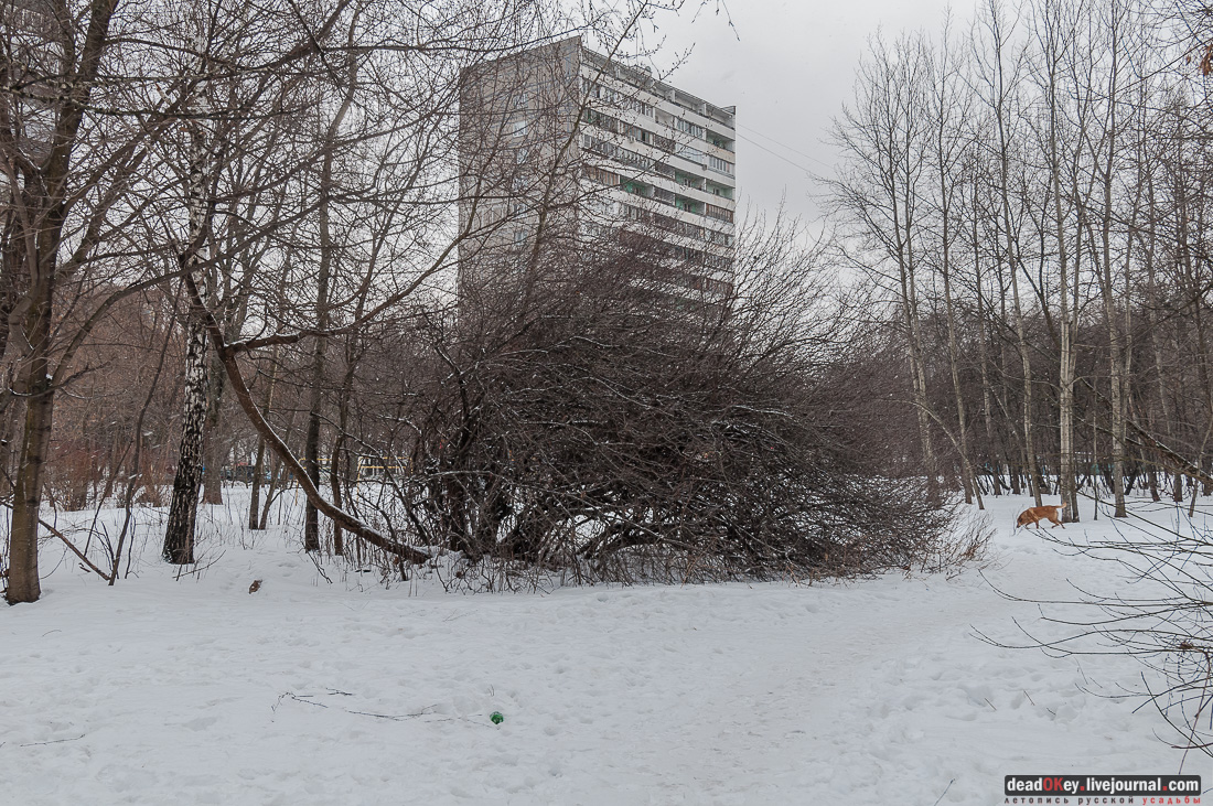 Вокруг Кусково