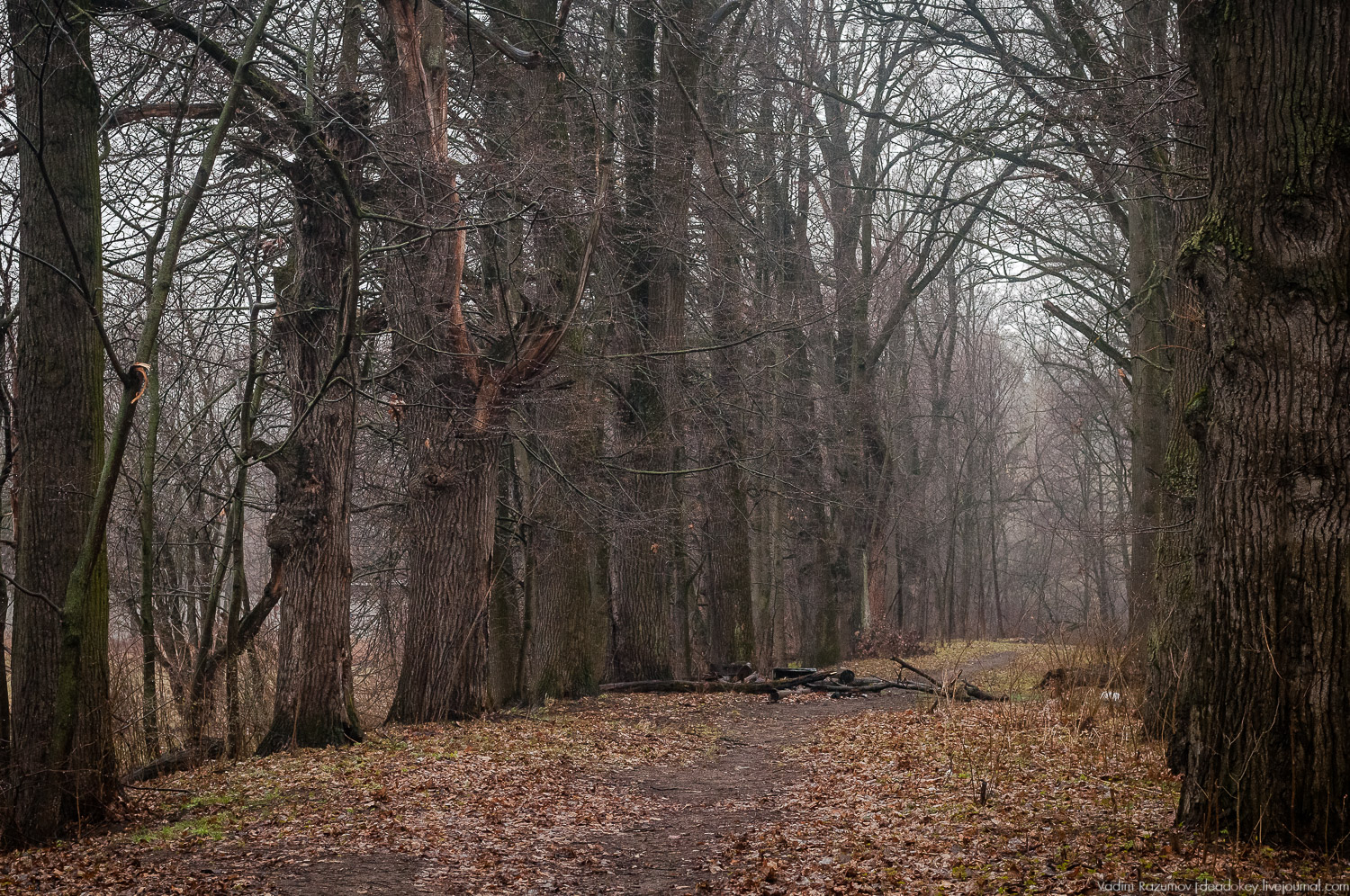 усадьба Петрово (Дурнево, Петрово-Дальнее), Красногорский район, Московская область