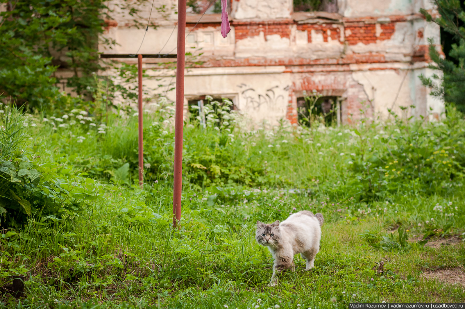 усадьба Колосово Пасхаловых, Тульская область, Алексинский район