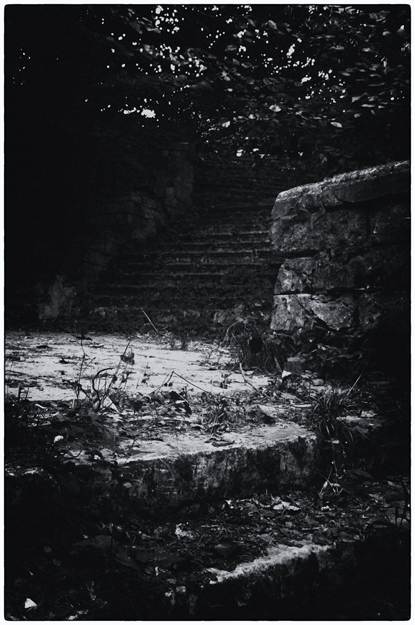 усадьба Кучино