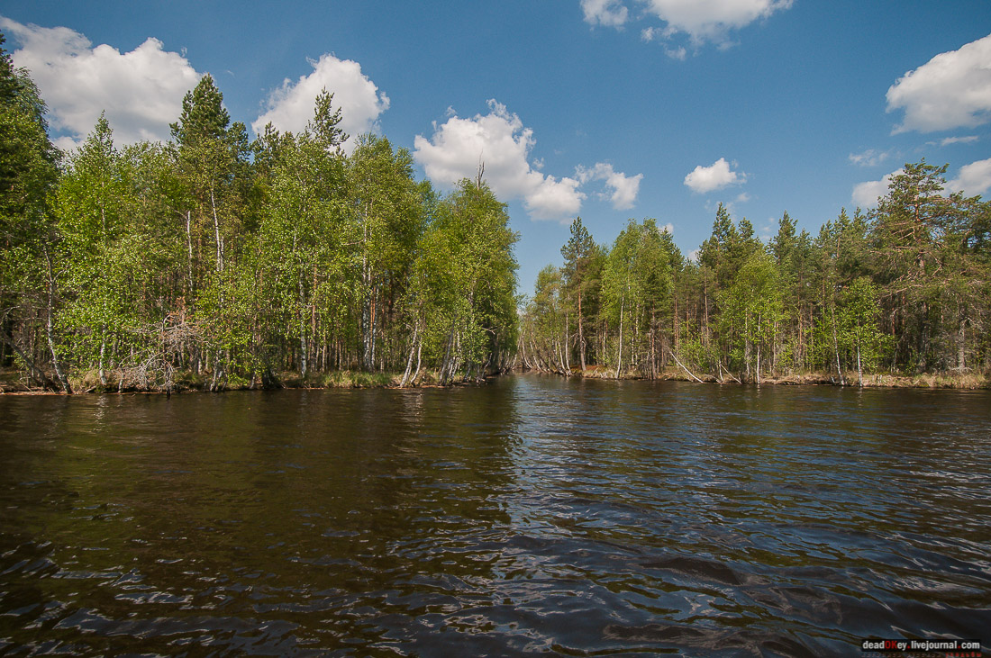 Россия, Карелия, Кондопожский район, Вендеры, Сяпчозеро, Спасская Губа