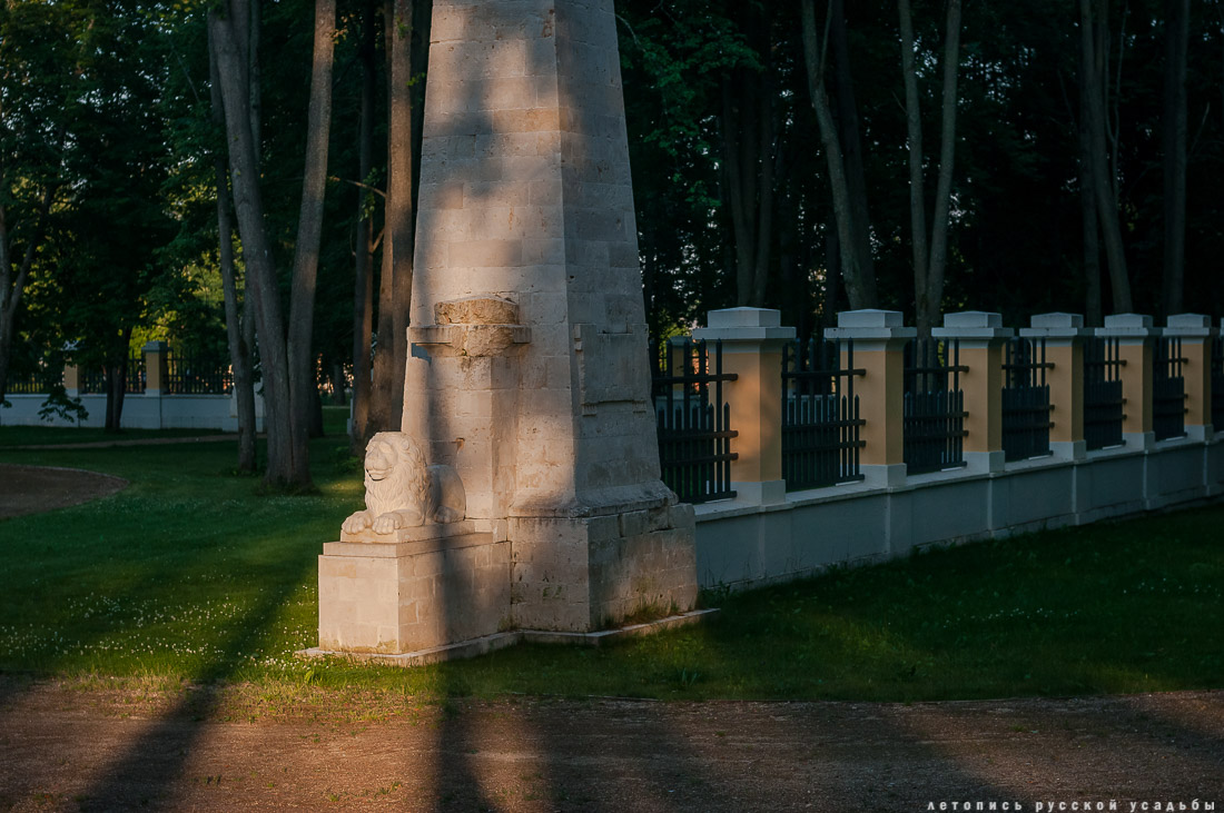 усадьба Степановское-Волосово, фотографии с дрона, шетлендский пони Трамп