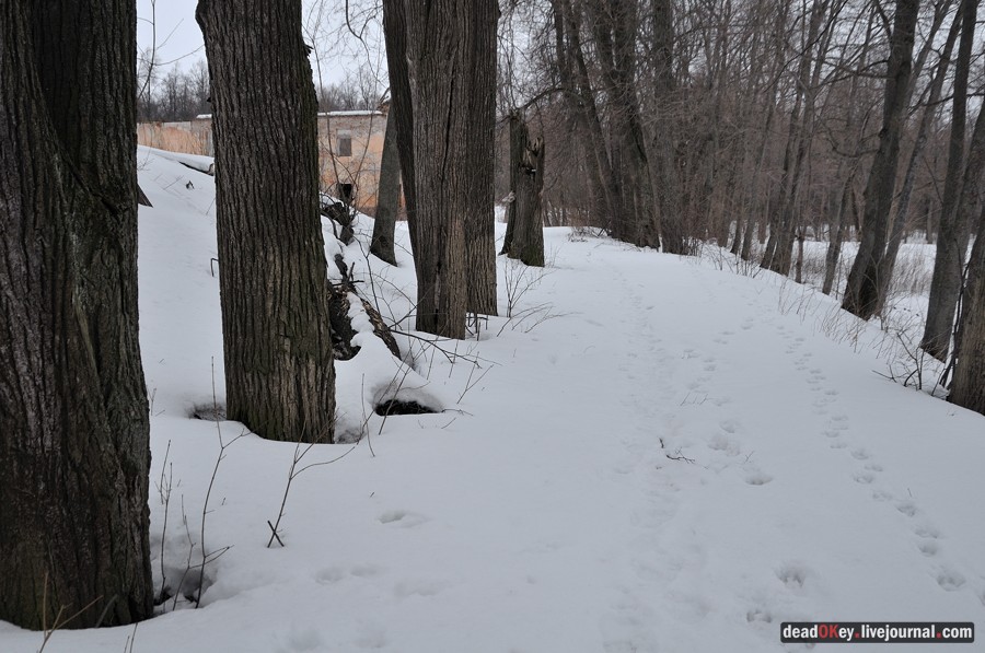 усадьба Троице-Лобаново