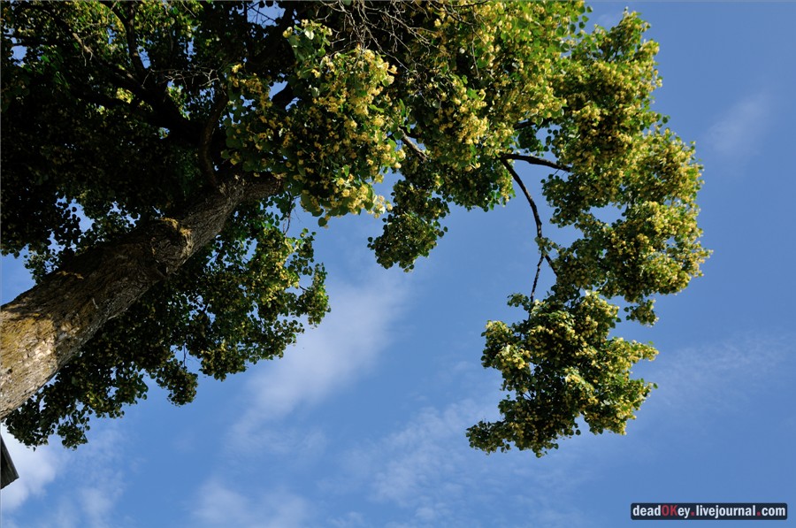 усадьба Алмазово